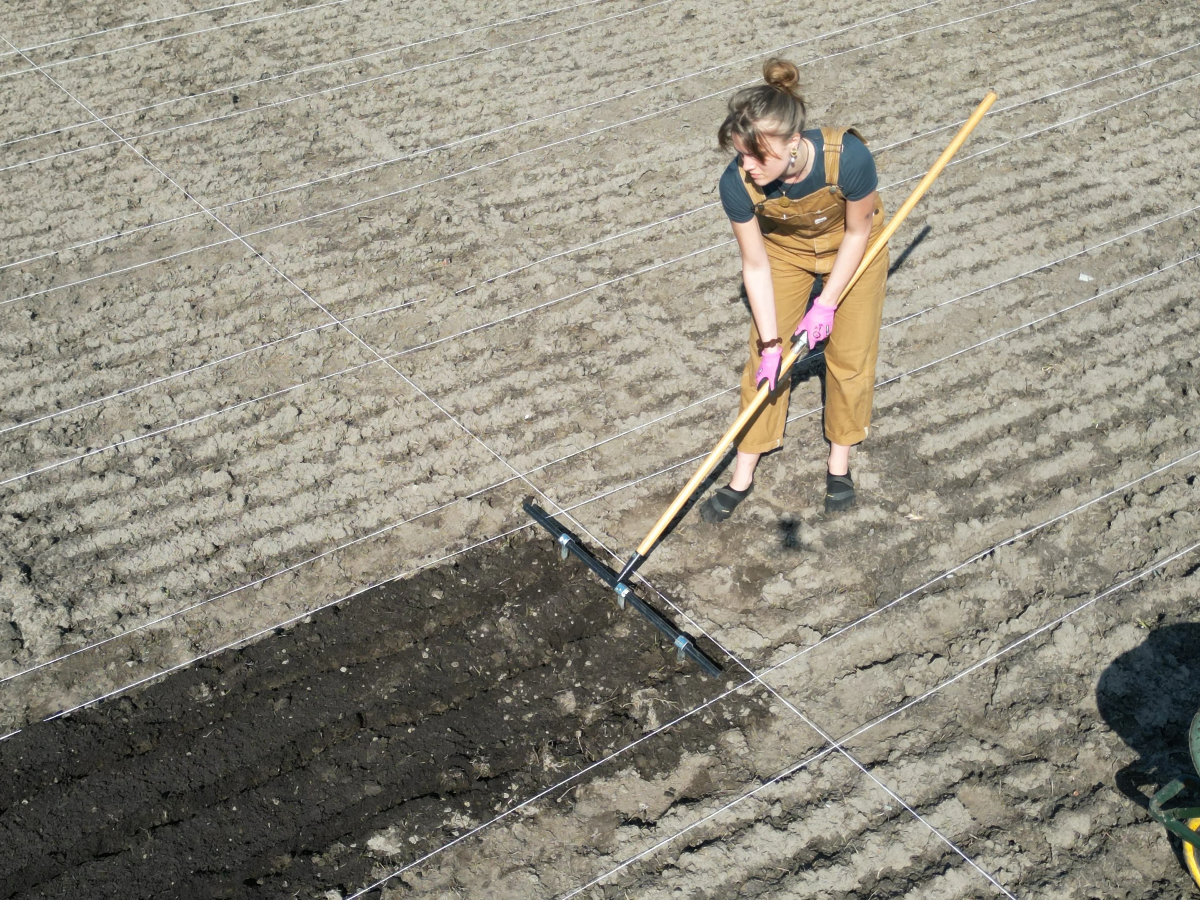 Jessica hark een teeltbed aan op de Aarleseweg