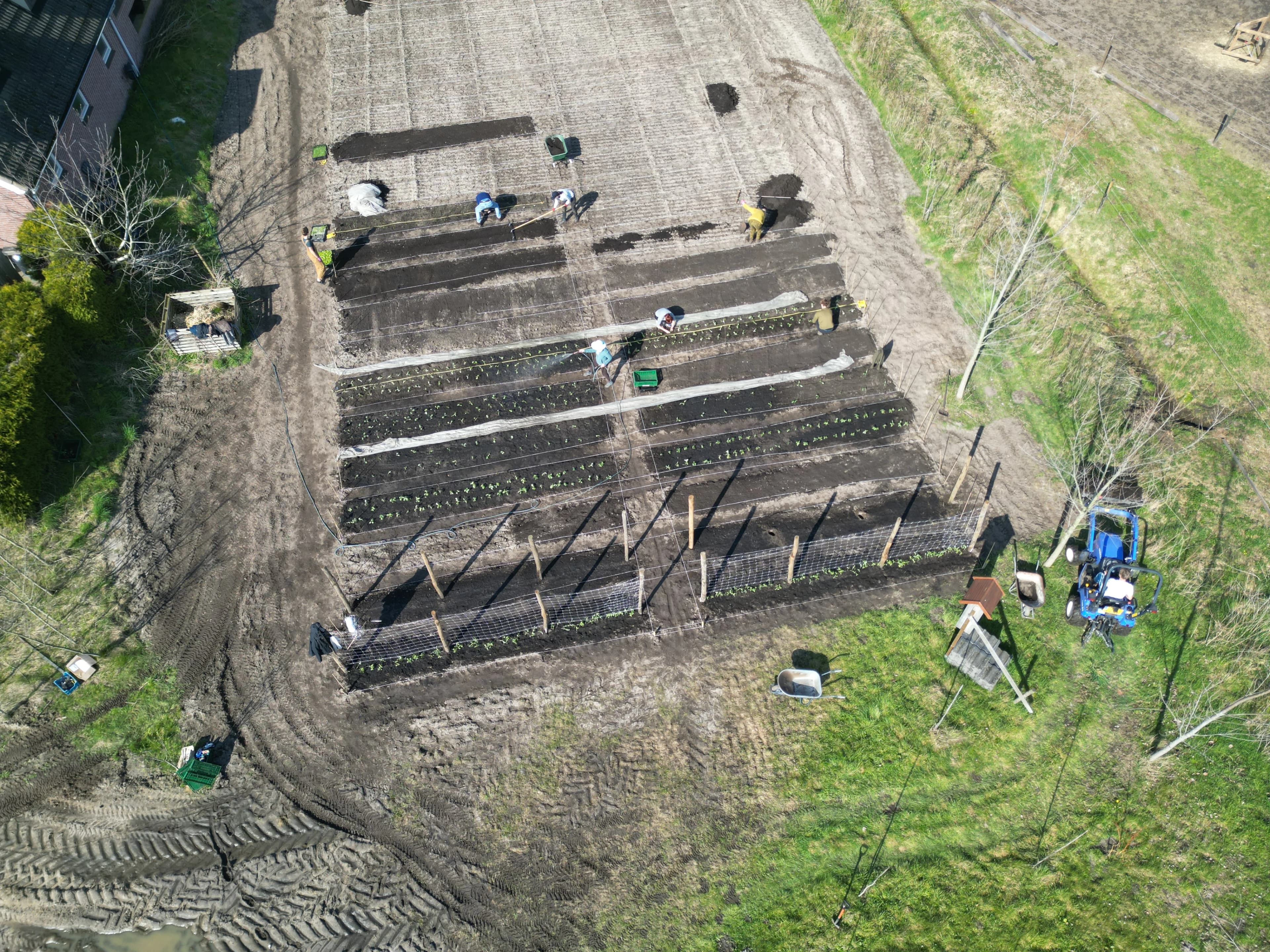 Luchtfoto van het Aarleseweg-perceel met net aangelegde teeltbedden